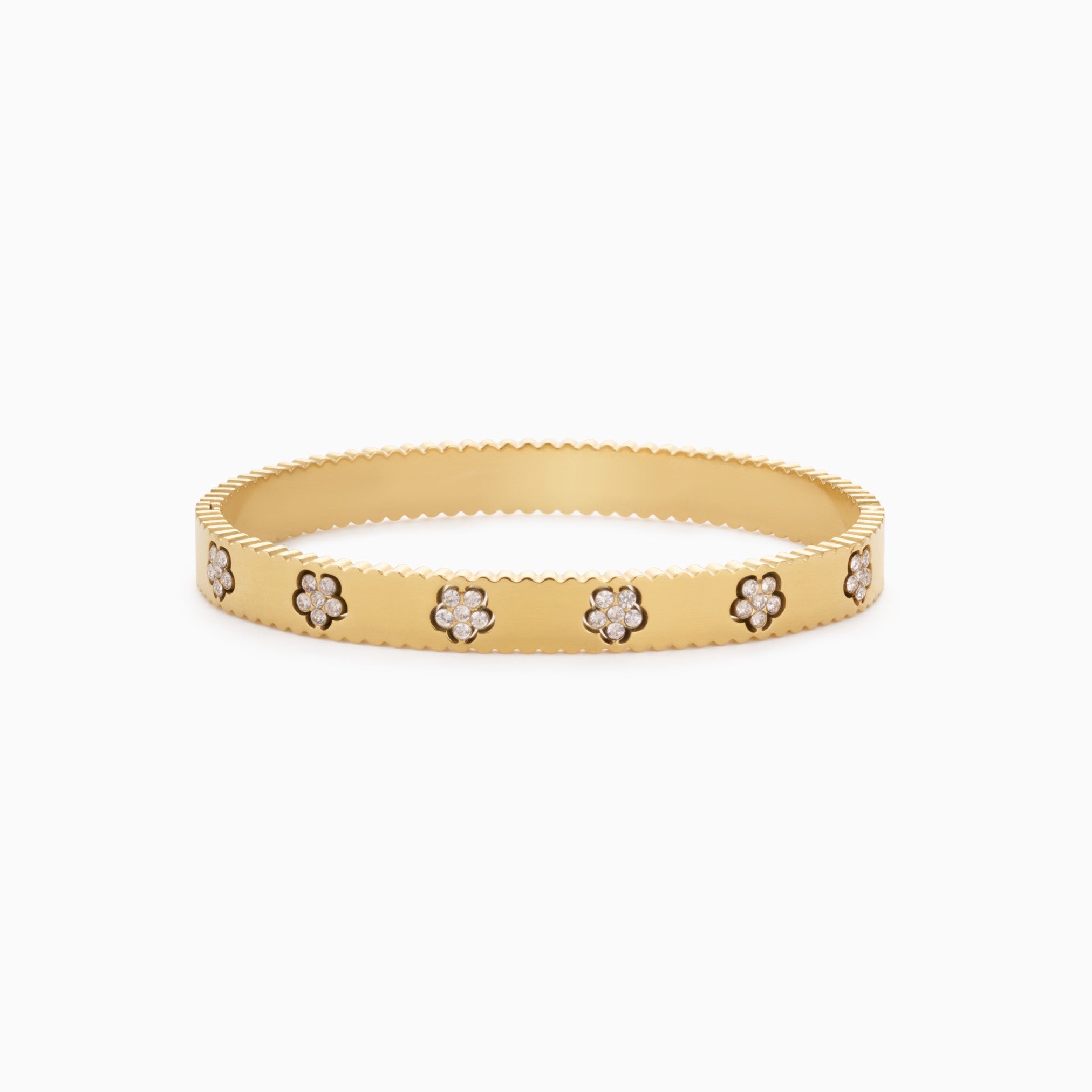 THANK YOU AIMEE BANGLE