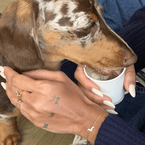 THE SLINKY BRACELET best gold plated tarnish and water resistant piece by Irish Jewellery brand - Lynott Jewellery