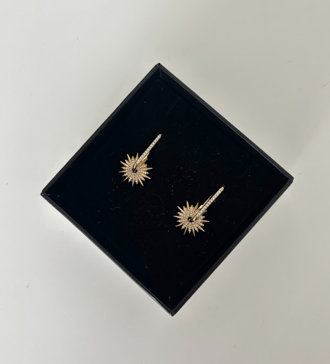 Solstice Drop Down Earrings- The Vault