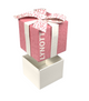 HANGING GIFT BOX ORNAMENT